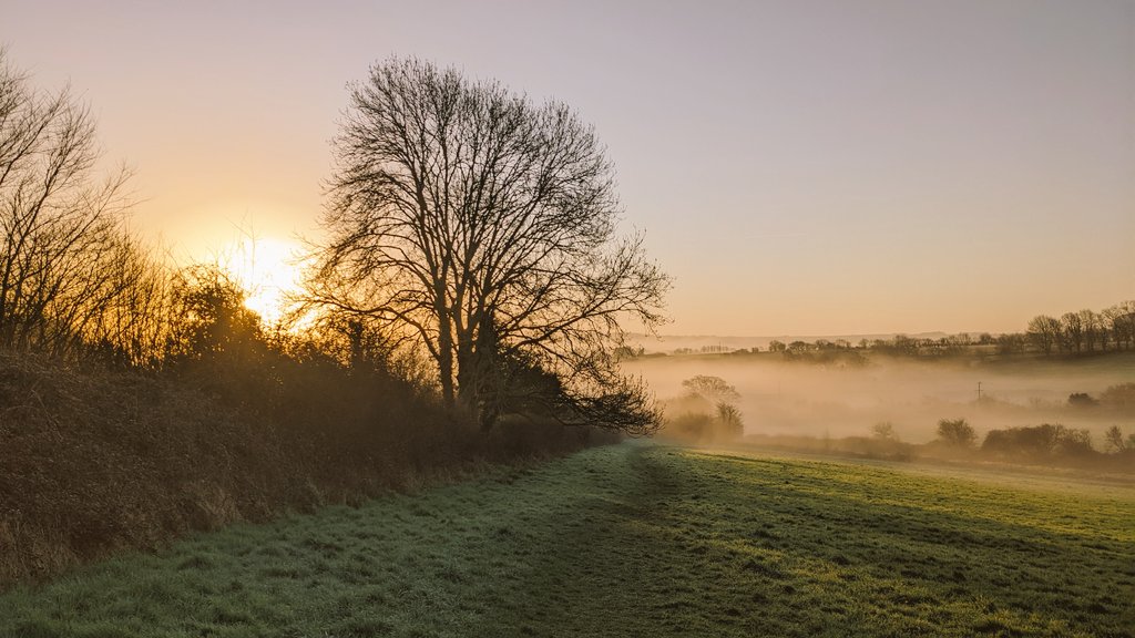 31dooW's tweet photo. Moody morning dog walk in Somerset 😊 #dogwalk #morningdogwalk #somerset #morningwalk #sunrise https://t.co/vaEOnZKOgK