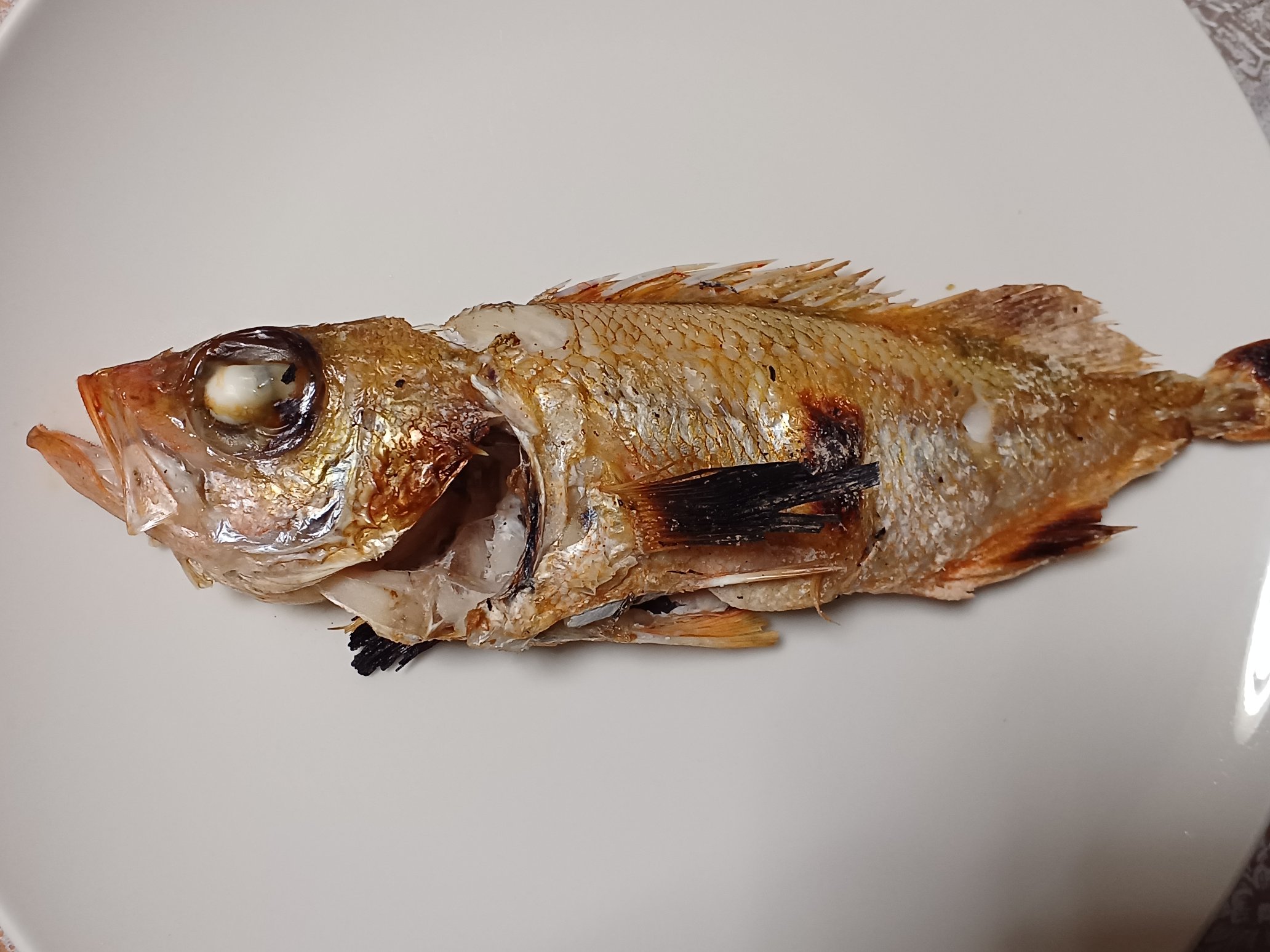 かわもぐり Kawamoguri Twitter