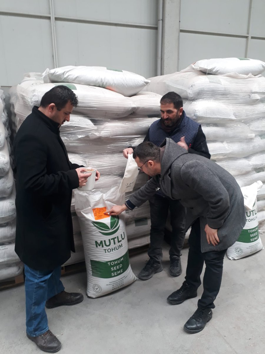 konyailtarim's tweet photo. Çiftçilerimiz temiz ve güvenli tohuma ulaşabilmesi için Bitkisel Üretim Şube Müdürlüğü #tohum #sertifikasyon birimi tarafından 5553 sayılı Tohumculuk Kanunu kapsamında İlimizde bulunan tohum üretici firmalarına ait #korunga tohum numuneleri alınarak Antalya TSTMye gönderilmiştir https://t.co/3E27aCY5Qe