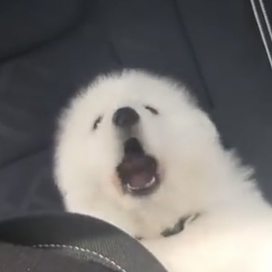 แม่                                           เติมข้าว !!!!!!!