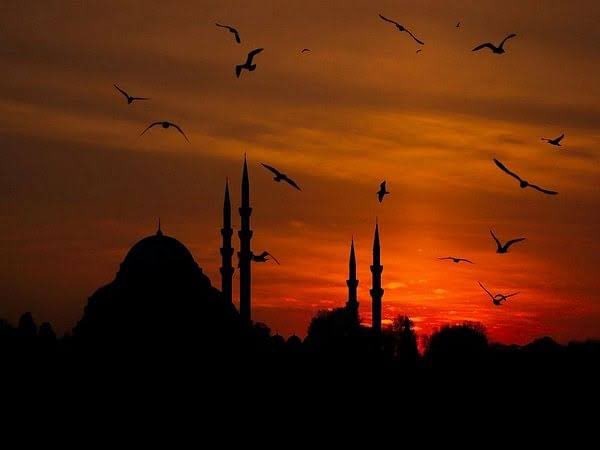 On this pious occasion of #ShabeBarat, may Almighty bless you all with peace and prosperity. Do remember us in your precious prayers. Stay blessed!