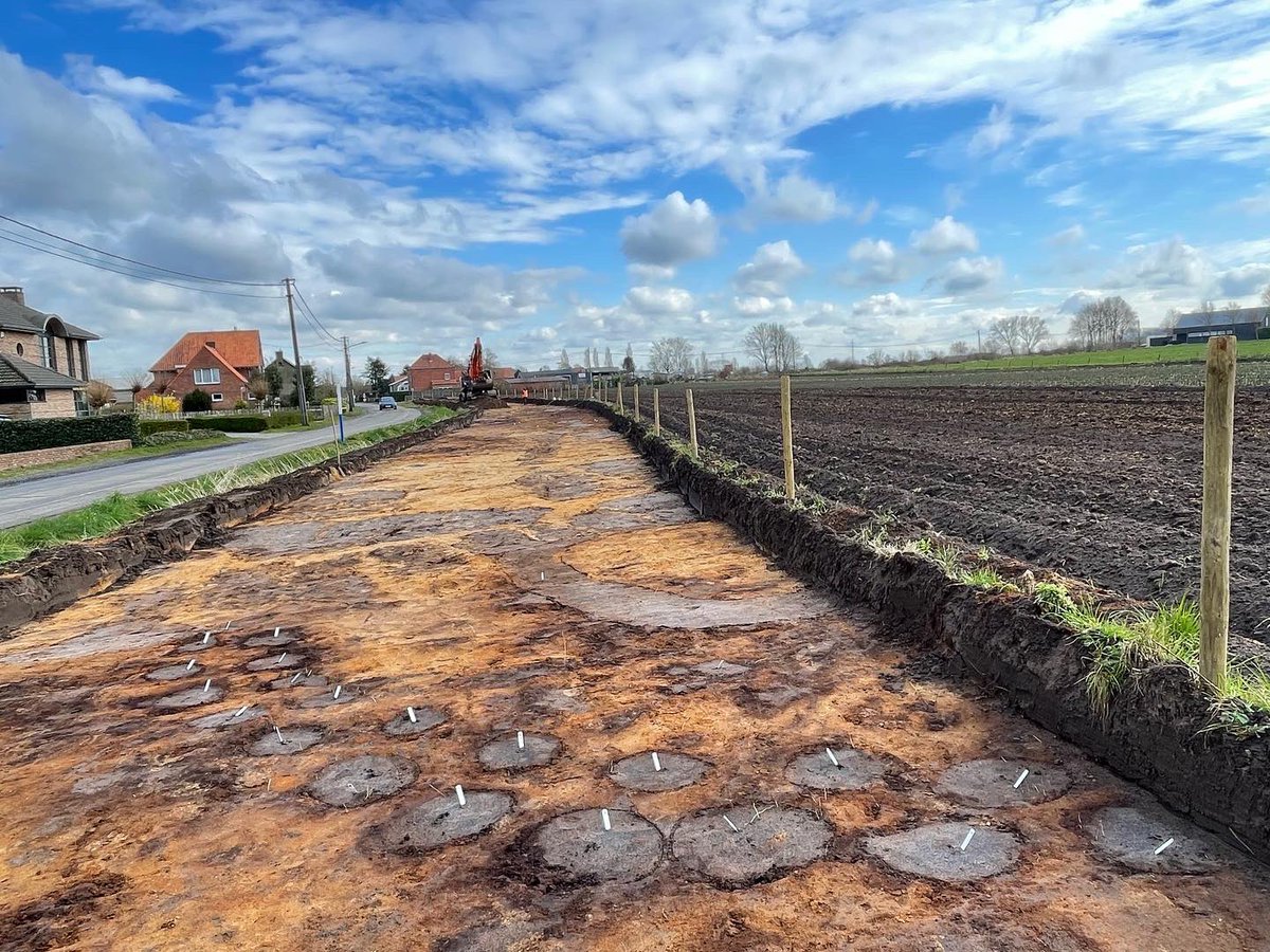 De Logi & Hoorne tweet media