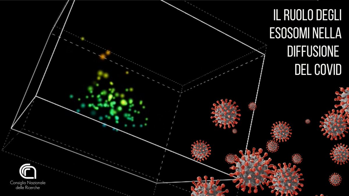 CNRsocial_'s tweet photo. Uno studio di #Ingm e #Cnr_Igm rileva che le vescicole extracellulari (esosomi) dei pazienti con forme leggere di #Covid permettono un migliore funzionamento del sistema immunitario rispetto a quelle di pazienti con forme più severe.
Scopri di più👇
https://t.co/SJDzyTk8Ko https://t.co/SNjlMKZpGm