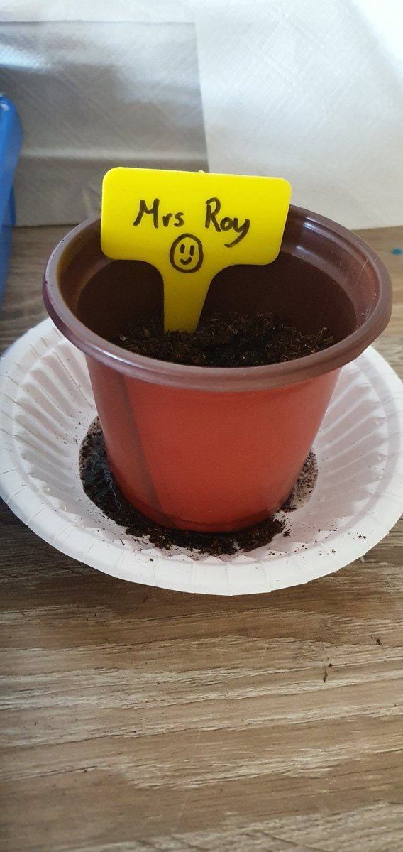 Thank you to K in P1 <a href="/StNinianPS/">Saint Ninian's PS</a> for inviting me to join their sunflower challenge. 🌻 I'm looking forward to watching them all grow 👍