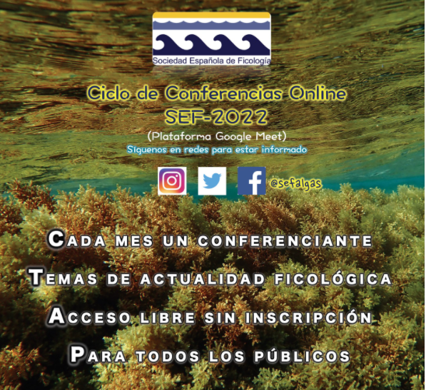 Ficología España /Spanish Phycological Association tweet media