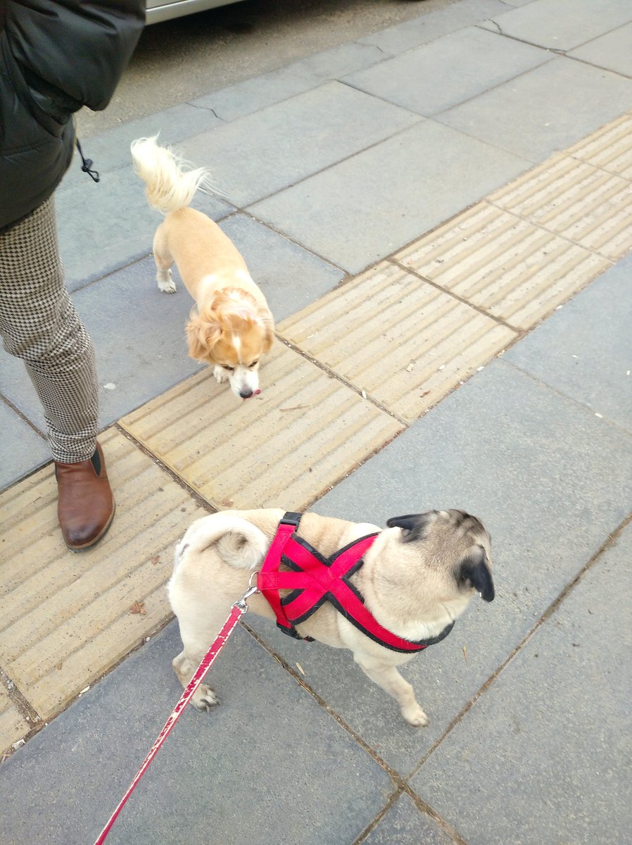 Ulu Kamgal Bado ve Tombi Bacı tweet media