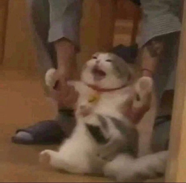 rkivd's tweet photo. “do you want to come see my cat?” https://t.co/Ely7poR7MZ