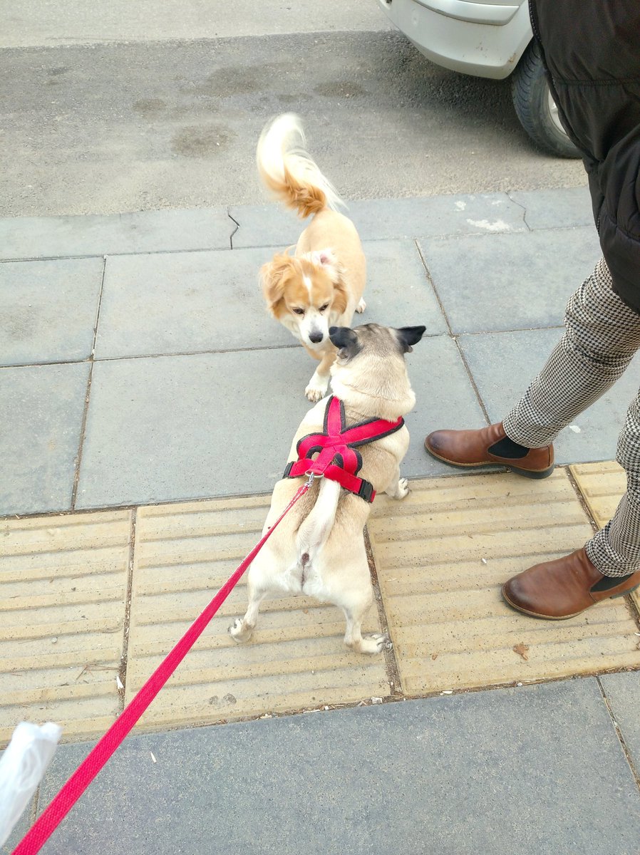 Ulu Kamgal Bado ve Tombi Bacı tweet media