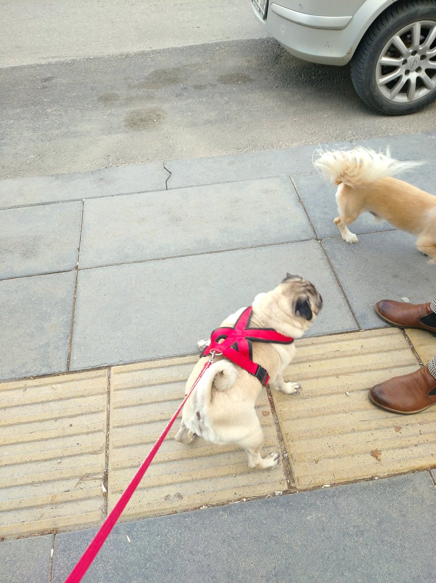 Ulu Kamgal Bado ve Tombi Bacı tweet media