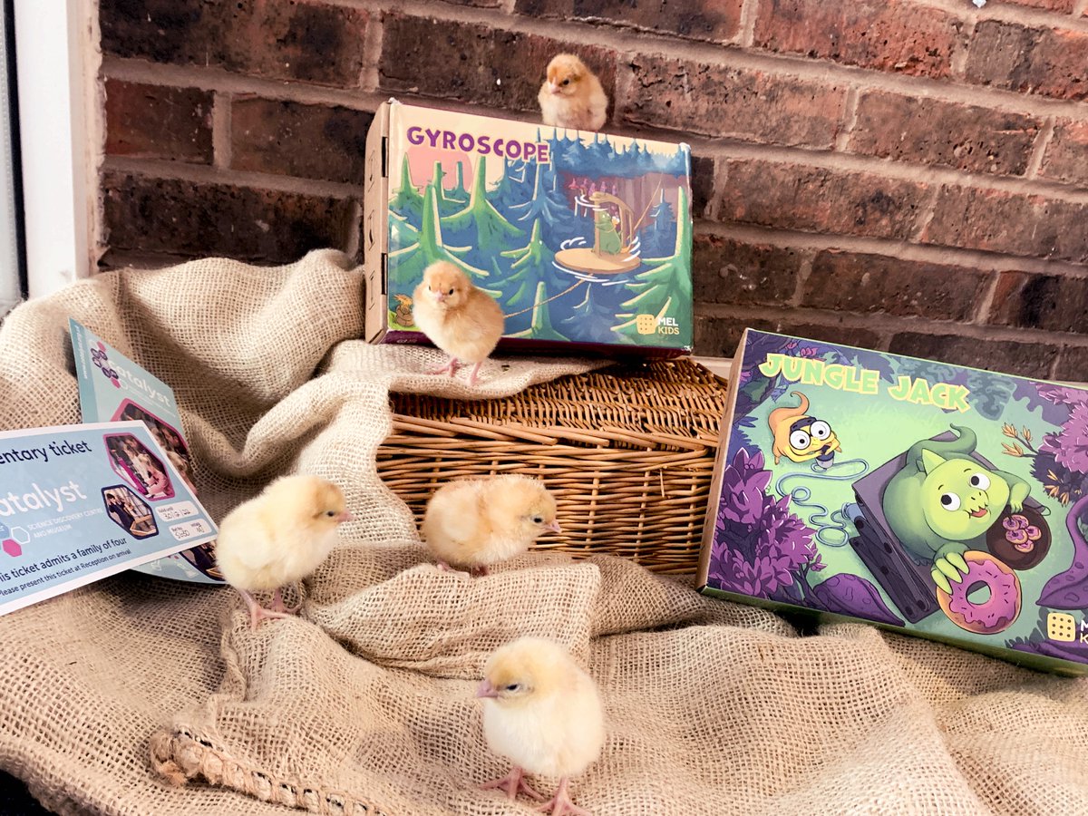 Wimboldsley Primary School tweet media