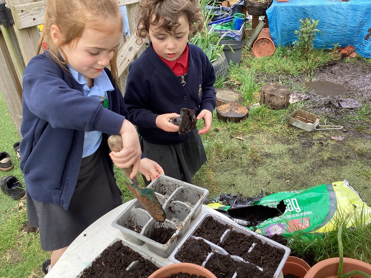 DeffordSchool's tweet photo. Willow class planting seeds and nurturing their frogspawn. Some have now turned into tadpoles! https://t.co/CKCL3buB2R
