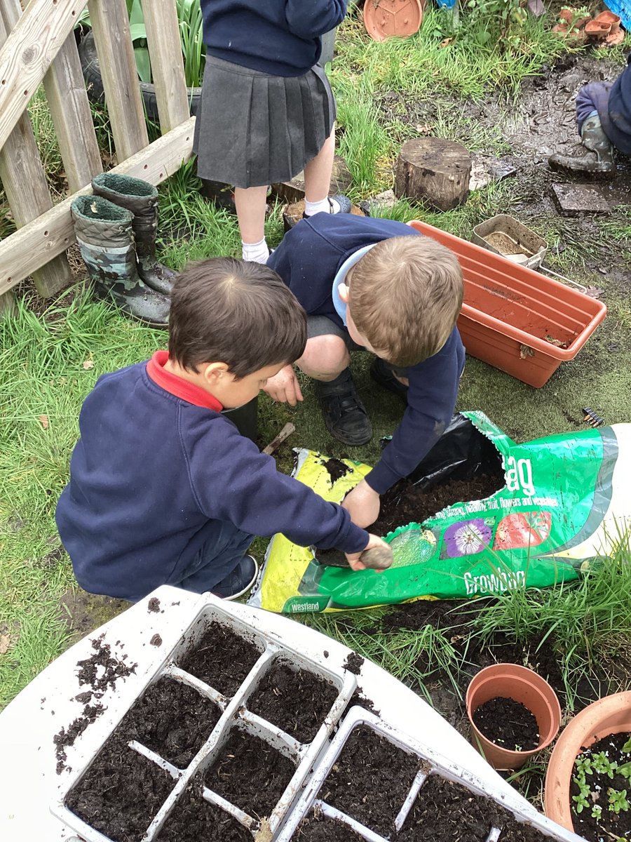 DeffordSchool's tweet photo. Willow class planting seeds and nurturing their frogspawn. Some have now turned into tadpoles! https://t.co/CKCL3buB2R