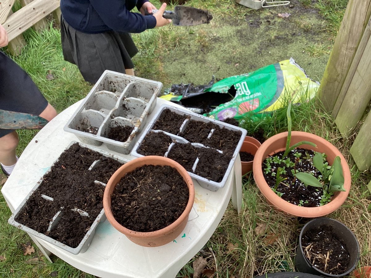 DeffordSchool's tweet photo. Willow class planting seeds and nurturing their frogspawn. Some have now turned into tadpoles! https://t.co/CKCL3buB2R