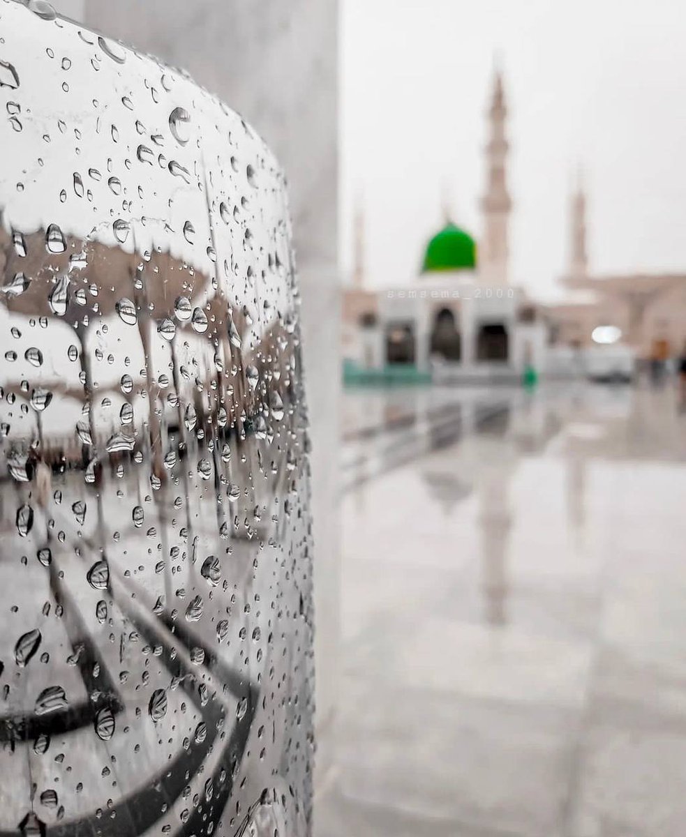 .
.

قَالَ رَسُولُ اللَّهِ صَلَّى اللَّهُ عَلَيْهِ وَسَلَّمَ :
أكثرُوا الصَّلاة عليَّ يومَ الجُمُعَةِ ، وليلة الجُمُعَةِ ، فمن صلَّى عليَّ صلاةً ؛ صلَّى اللَّهُ علَيهِ بها عَشرًا !♥️
.
.
#الجمعه 
#الصلاه_علي_النبي 
.