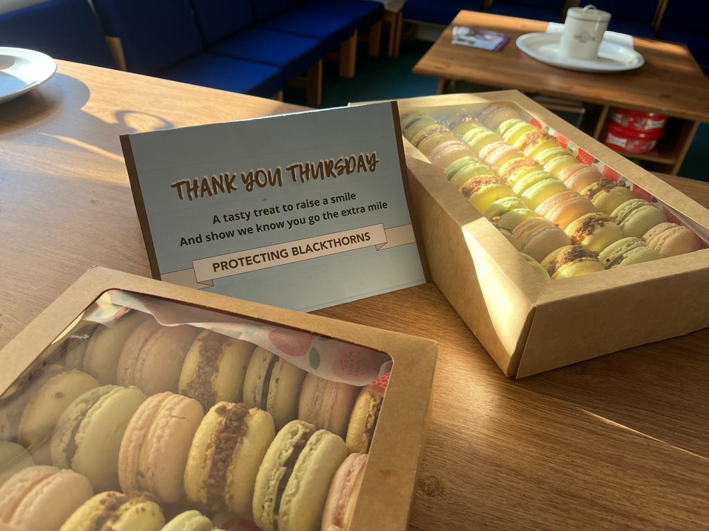 PBlackthorns's tweet photo. Another Thursday and a delicious treat from the Garden Chef at Missing Link Brewery for the wonderful staff at @BlackthornsPri staff. Just to show them how much parents/carers appreciate them going the extra mile for our children.
#protectingblackthorns @UOBAcademies https://t.co/sJgXevKzHg