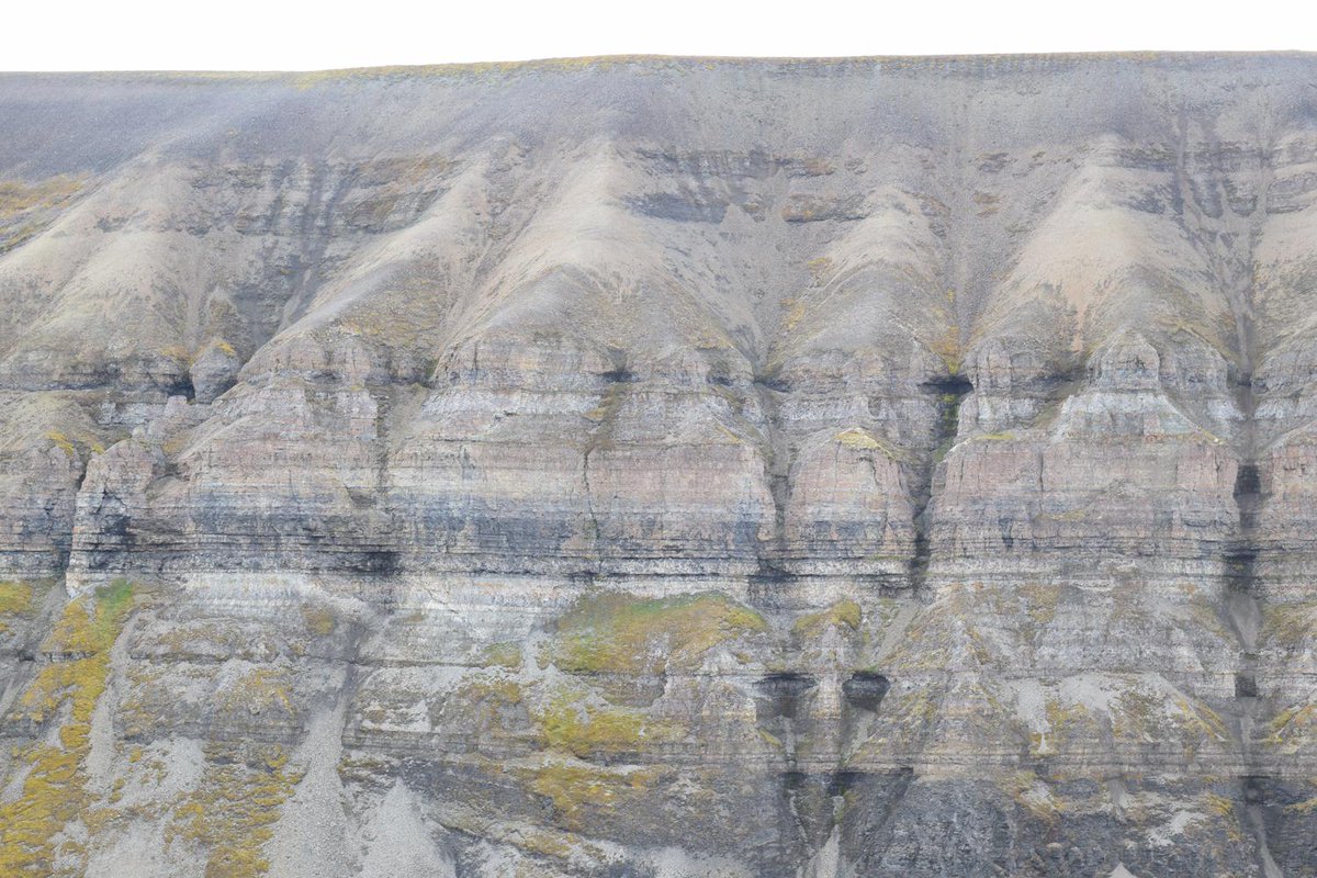 svalbox's tweet photo. #DOM of the day - Introducing the #Esperantodalen digital model!

Interact with the #Svalbox model here: https://t.co/8CgElZGyjK 

#Carbonates #Fractures #DigitalGeology #Arctic #Svalbard https://t.co/1yld9KVq0h