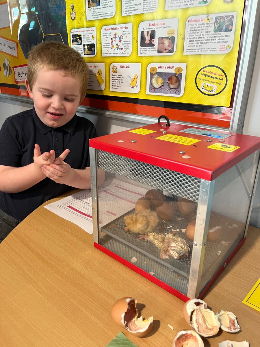 Mrs Cooper tweet media