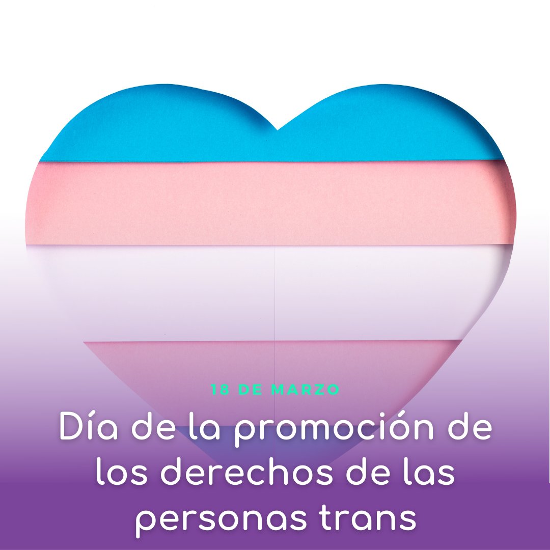 Silvina Molina Lardit ⭐⭐⭐ tweet media