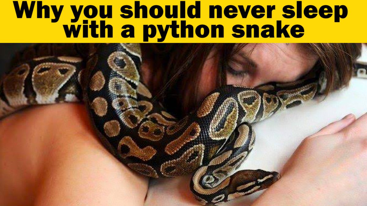 Horror___Phobia's tweet photo. जानिये क्या हुआ जब महिला के साथ सोने के बात Python ने खाना पीना बंद कर दिया | Horror Phobia #WomanEatenbyPython #WomanSleepsWithPython #SnakeEatsWomaninBed
#Youtube https://t.co/HN4aydbo5A