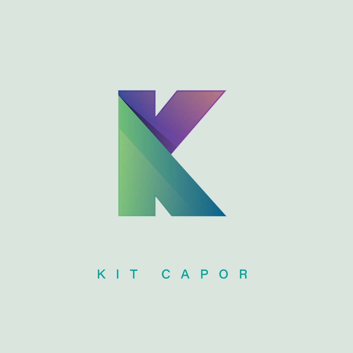 Kitcapor's tweet photo. #NewProfilePic https://t.co/hu6OL9tSNc
