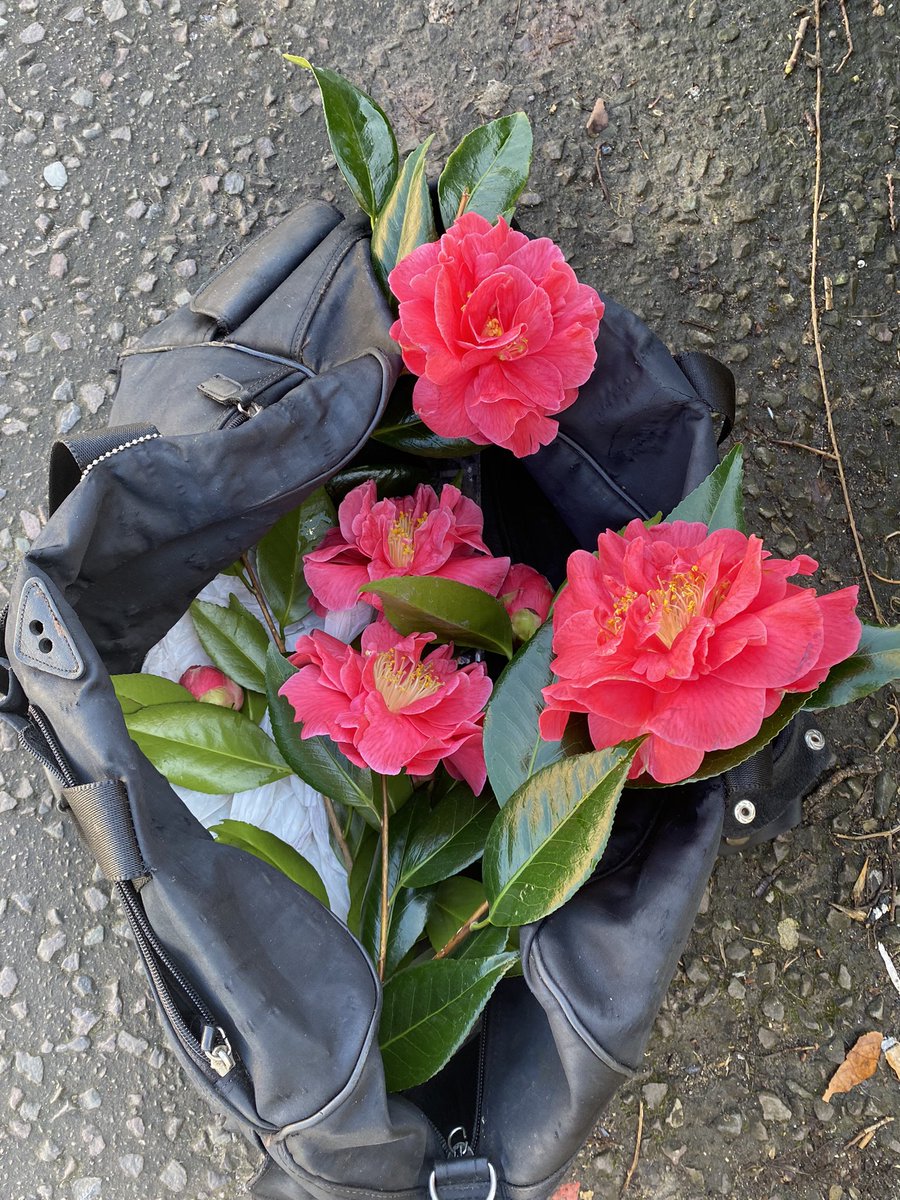 Chef’ s bag #beautifjj in l camillia#by neighbour #second cookbook shooting