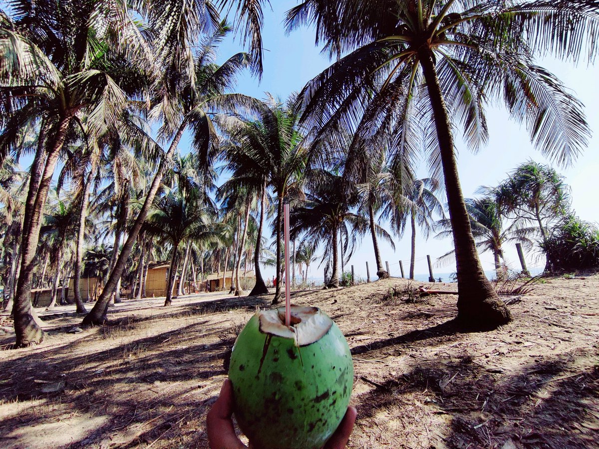 Mosfiqun Nahid Hassan tweet media