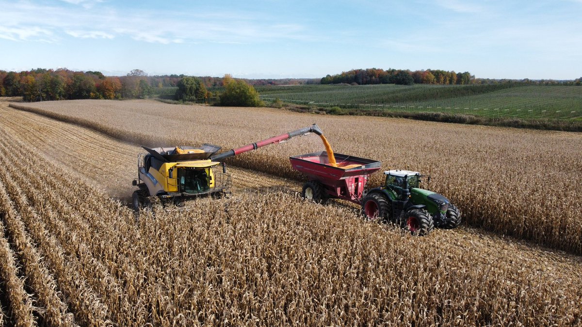 VanAertBryce's tweet photo. We are still looking to add to our team! Job would be mostly field work, operating equipment. See posting below. Located outside Arkona. RT’s appreciated! https://t.co/eoTb5VOMXC
