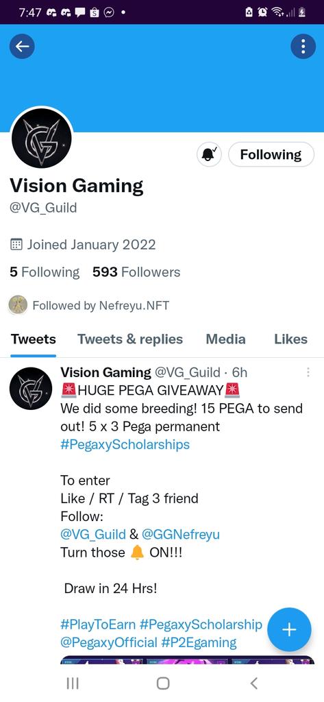Mayieee_03's tweet photo. @VG_Guild @GGNefreyu @PegaxyOfficial @Nannniiii_ @acasio_dexter @Sangyyy_14 https://t.co/39hOs5fNH2