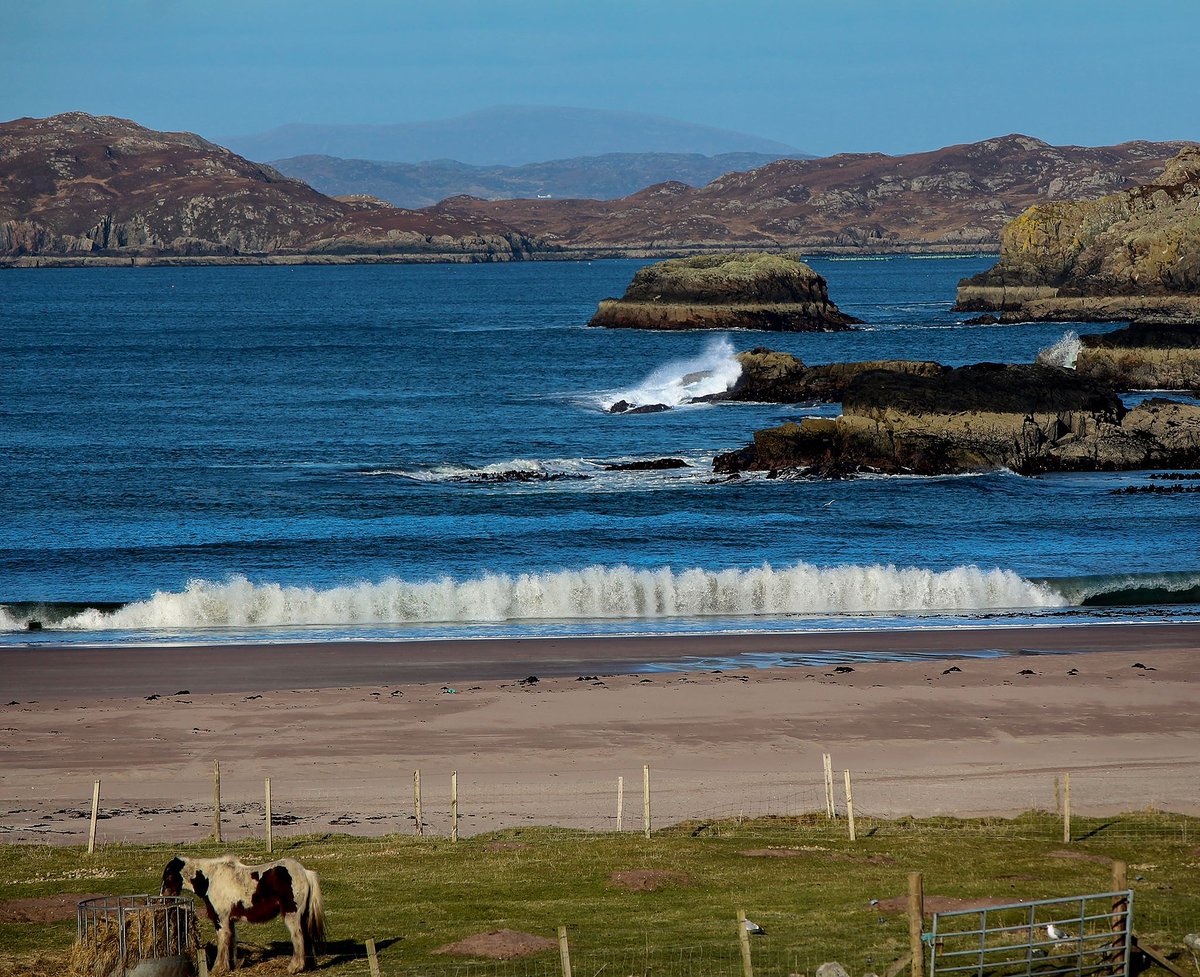 A pretty wee pony enjoying a light lunch at Clashnessie. 😄😍😍

#discoverassynt #scottishhighlands #nc500 #assynt #scotlandsbeauty