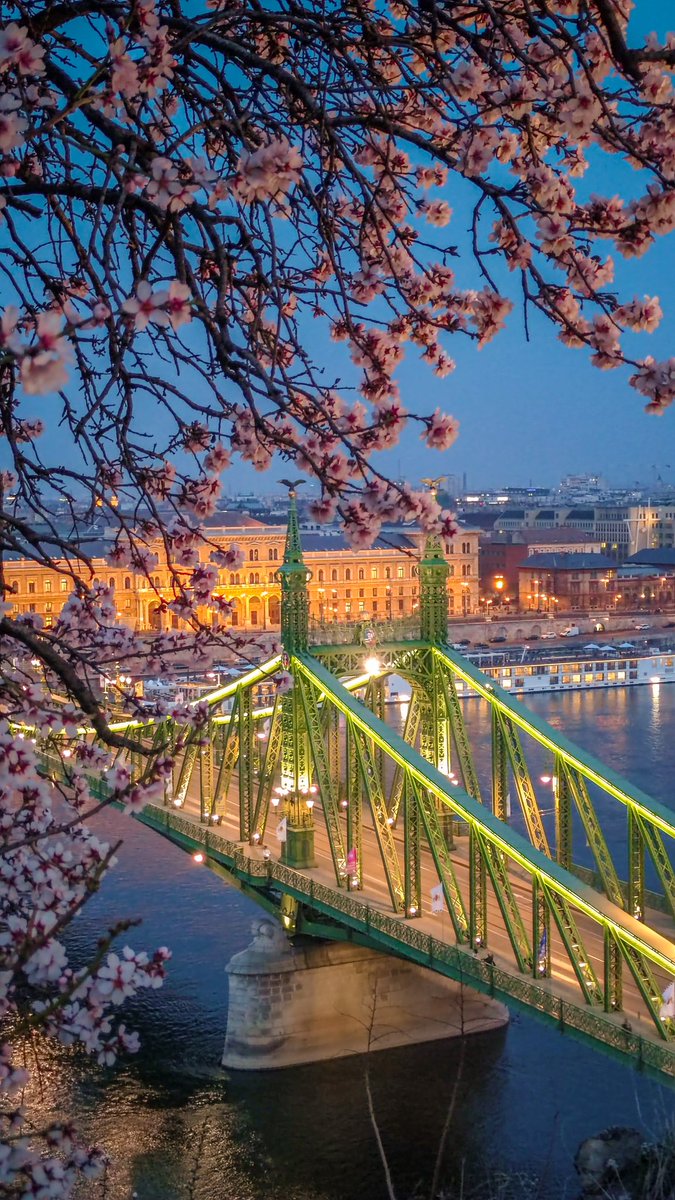 Slowly but surely spring has arrived to Budapest