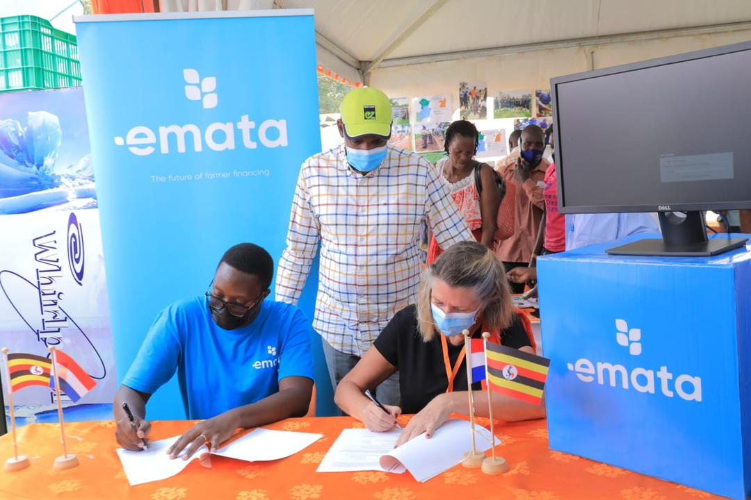 FrankTumwebazek's tweet photo. I wish also to salute the Royal Netherlands  Embassy @NLinUganda for supporting these farming competitions &amp; expos in partnership with @newvisionwire . Thank you! https://t.co/1v2eoZIpQp