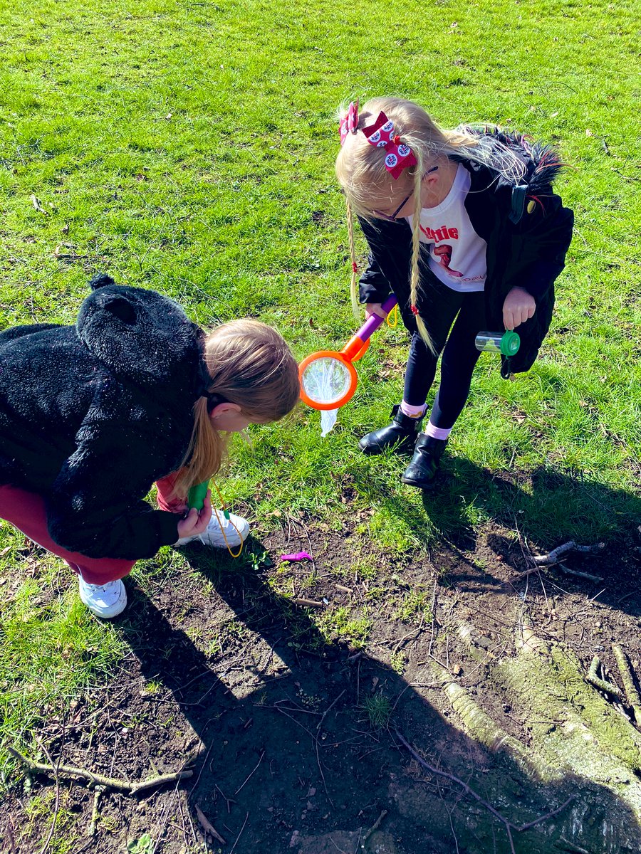 EPA_Y1_Y2's tweet photo. @DeltaEstcourt for #ScienceWeek22 #EPAOctopus class have been searching for mini beasts at East Park https://t.co/ILAJIPjHfQ