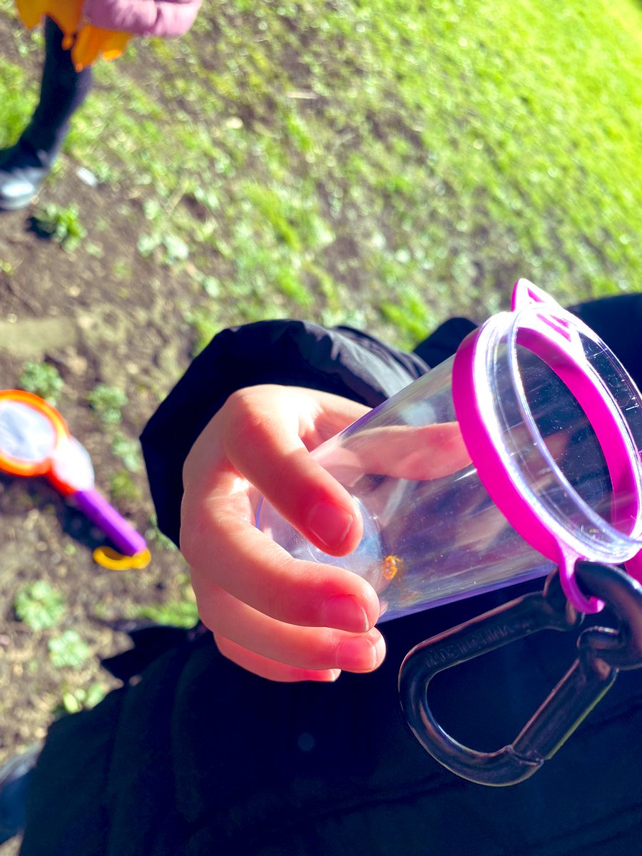 EPA_Y1_Y2's tweet photo. @DeltaEstcourt for #ScienceWeek22 #EPAOctopus class have been searching for mini beasts at East Park https://t.co/ILAJIPjHfQ