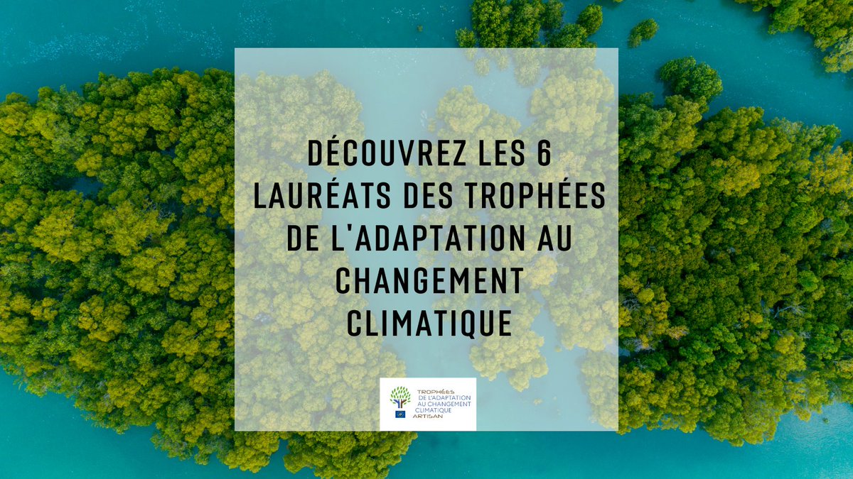 LifeARTISAN_'s tweet photo. Retrouvez la présentation vidéo et toutes les informations sur les 6 projets lauréats des Trophées 🏆 #LifeARTISAN sur notre site : https://t.co/4VLvZJDKYz https://t.co/0gdcMiYGf3