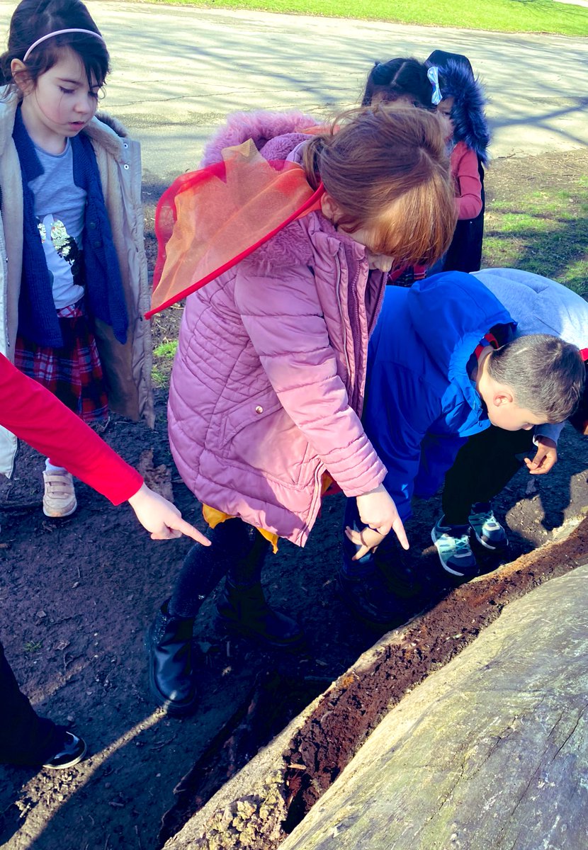 EPA_Y1_Y2's tweet photo. @DeltaEstcourt for #ScienceWeek22 #EPAOctopus class have been mini beast searching at East Park this morning https://t.co/hLBDslRTO8