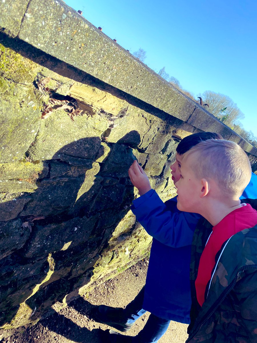 EPA_Y1_Y2's tweet photo. @DeltaEstcourt for #ScienceWeek22 #EPAOctopus class have been mini beast searching at East Park this morning https://t.co/hLBDslRTO8