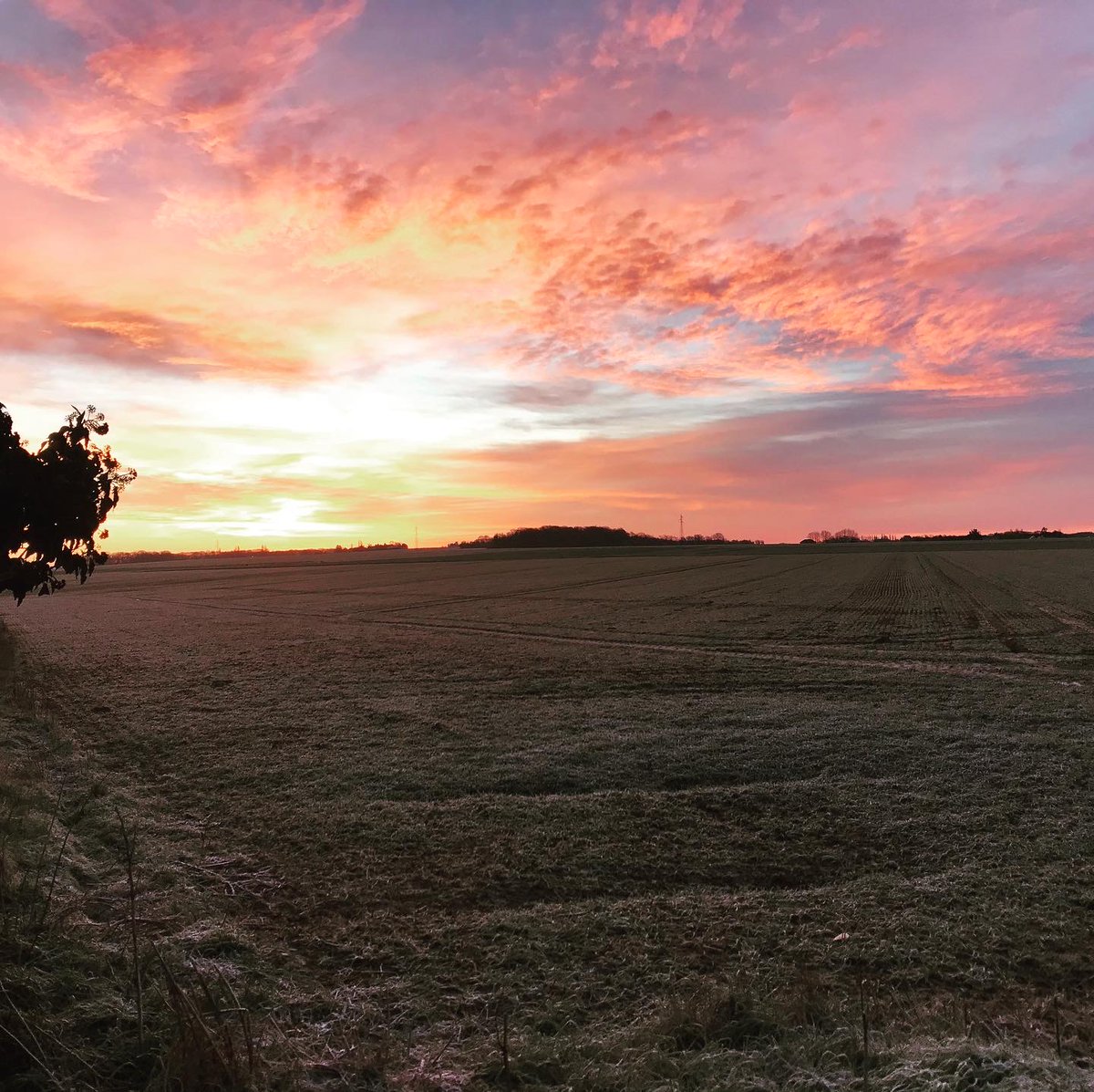 Bruno PIREYN tweet media