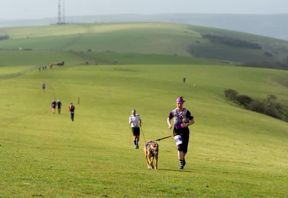 k9_runner's tweet photo. 💜 Very best of luck to all runners @The_Moyleman on Sunday 💜 Looks like it’s going to be another epic one! Such a beautiful event. https://t.co/iAA9iXVwCI