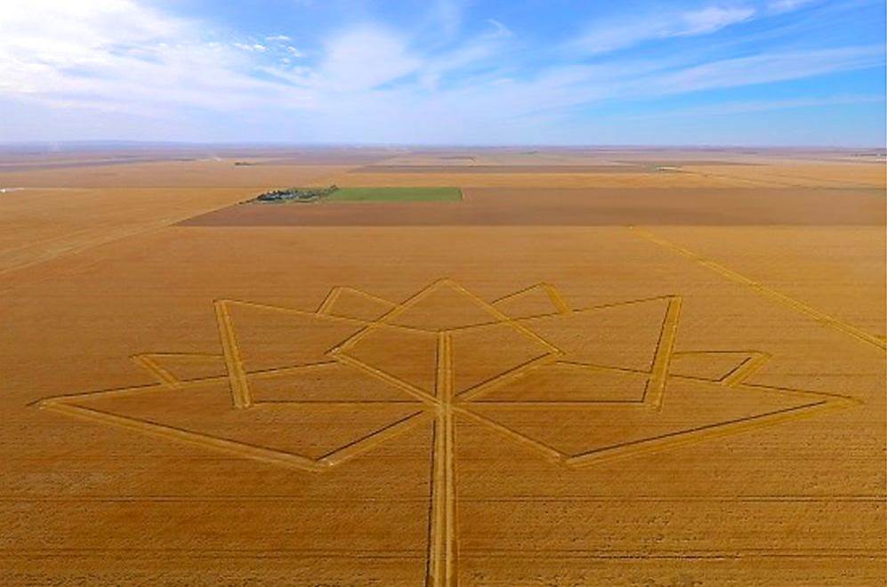 omexag's tweet photo. Let's #Prime some wheat Canada. #OmexCanada #Primers #PrimerZn #PrimerMn #PrimerCu https://t.co/nGxaZvMFIH