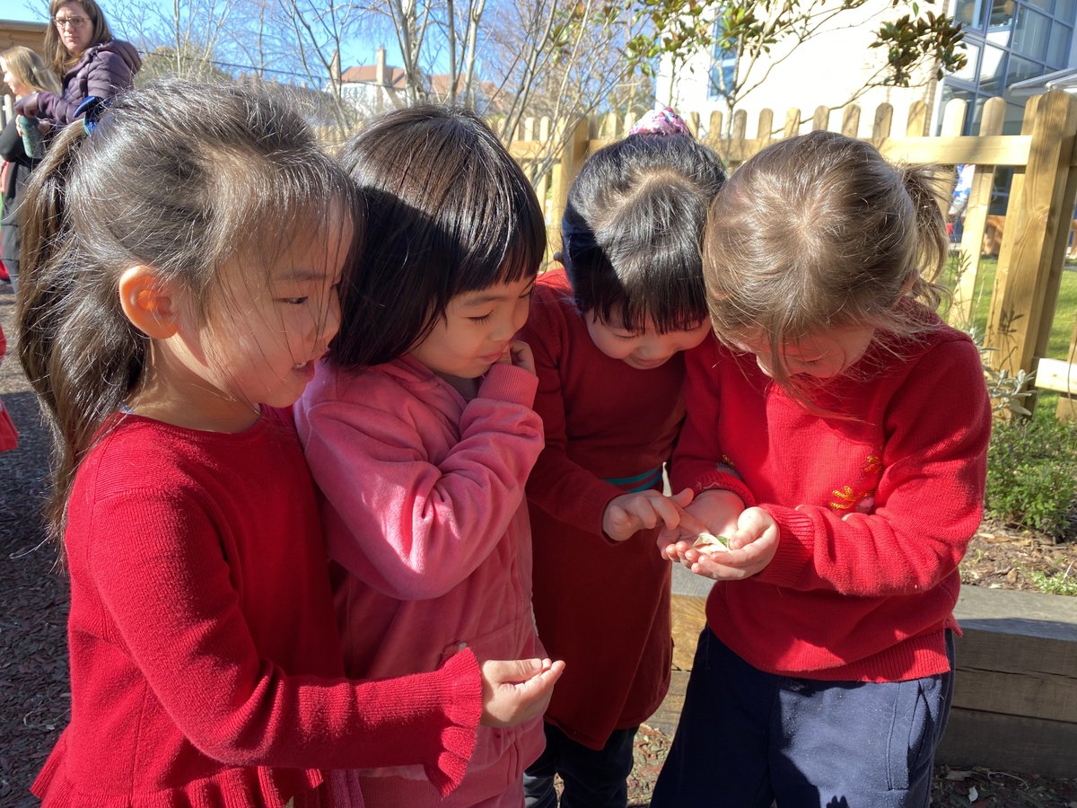 Juniors_WHS's tweet photo. 🐞❤️These #ReceptionWHS girls were so excited to find a ladybug - how fitting for #ScienceWeek2022 and #RedNoseDay2022! 

@JScience_WHS @JuniorHead_WHS @GDST #FunWHS https://t.co/2SbPoMnWIH