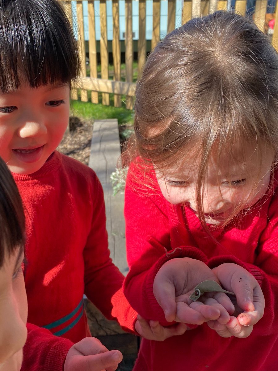 Juniors_WHS's tweet photo. 🐞❤️These #ReceptionWHS girls were so excited to find a ladybug - how fitting for #ScienceWeek2022 and #RedNoseDay2022! 

@JScience_WHS @JuniorHead_WHS @GDST #FunWHS https://t.co/2SbPoMnWIH