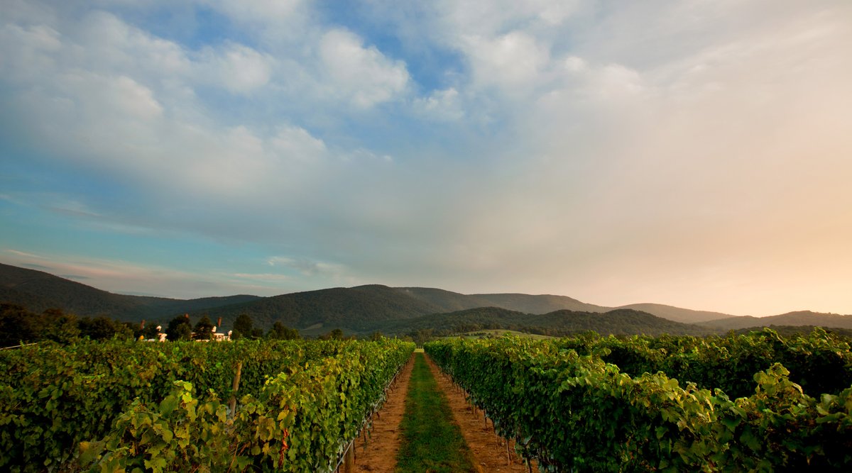 Boar's Head Resort on Twitter "While staying at Boar's Head Resort