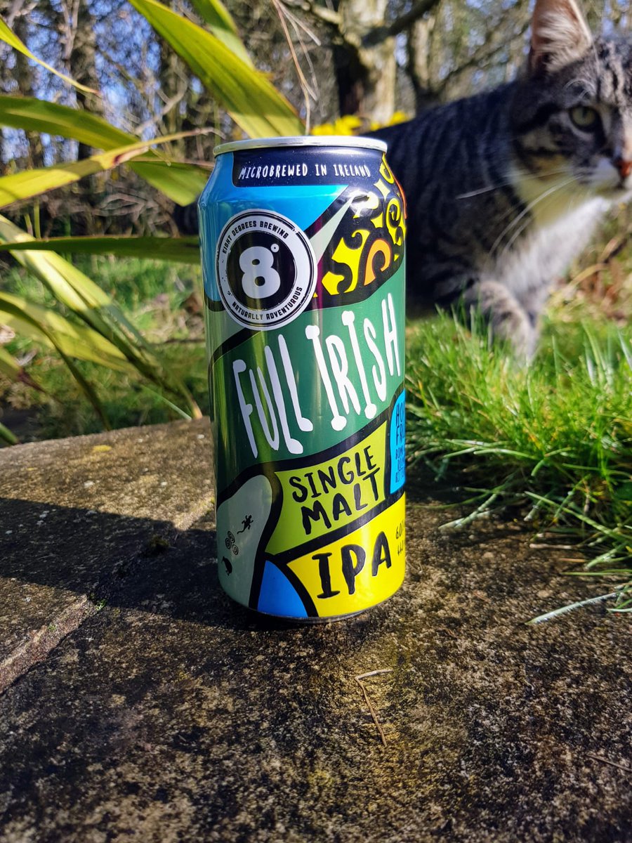 8degreesbrewing's tweet photo. It's a #FullIrishIPA-day-after-Paddy's-Day kinda day. Even Tiger would agree.
#drinkresponsibly
#BrewedinMitchelstown https://t.co/XI9MqXiVQ8