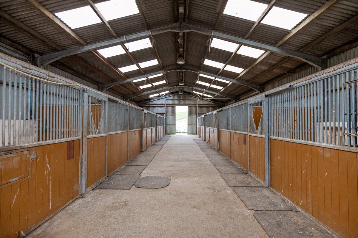 Galbraith_Group's tweet photo. Properties Of The Week🏇| It's Gold Cup Day at #Cheltenham so for #PropertiesOfTheWeek we're taking a look at our favourite properties fit with equestrian facilities🐴
Up first its 𝗛𝗮𝘄𝗸𝘀𝗹𝗮𝗻𝗱 𝗛𝗮𝗹𝗹 near Lanark📲 https://t.co/A5fUnHcjfG
#Galbraith | @Galbraith_STG https://t.co/Bjil7EPXm0