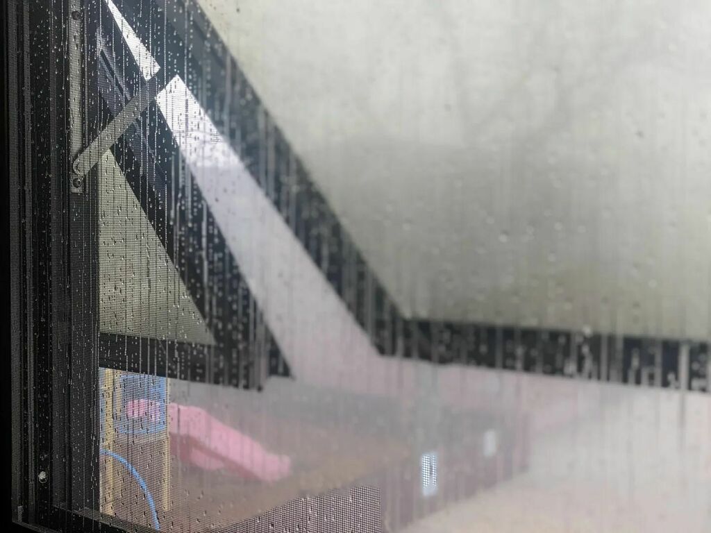 LibraryPoco's tweet image. Another artsy shot on this foggy Friday. 

It&apos;s not raining. 

The cooler, humid outdoor air and the warmer indoor air are meeting at the screen and causing condensation. 

And making for beautiful photos. 

#Science #LibraryLife #ReturnOfTheBookViking #… instagr.am/p/CbPn2UorF4B/