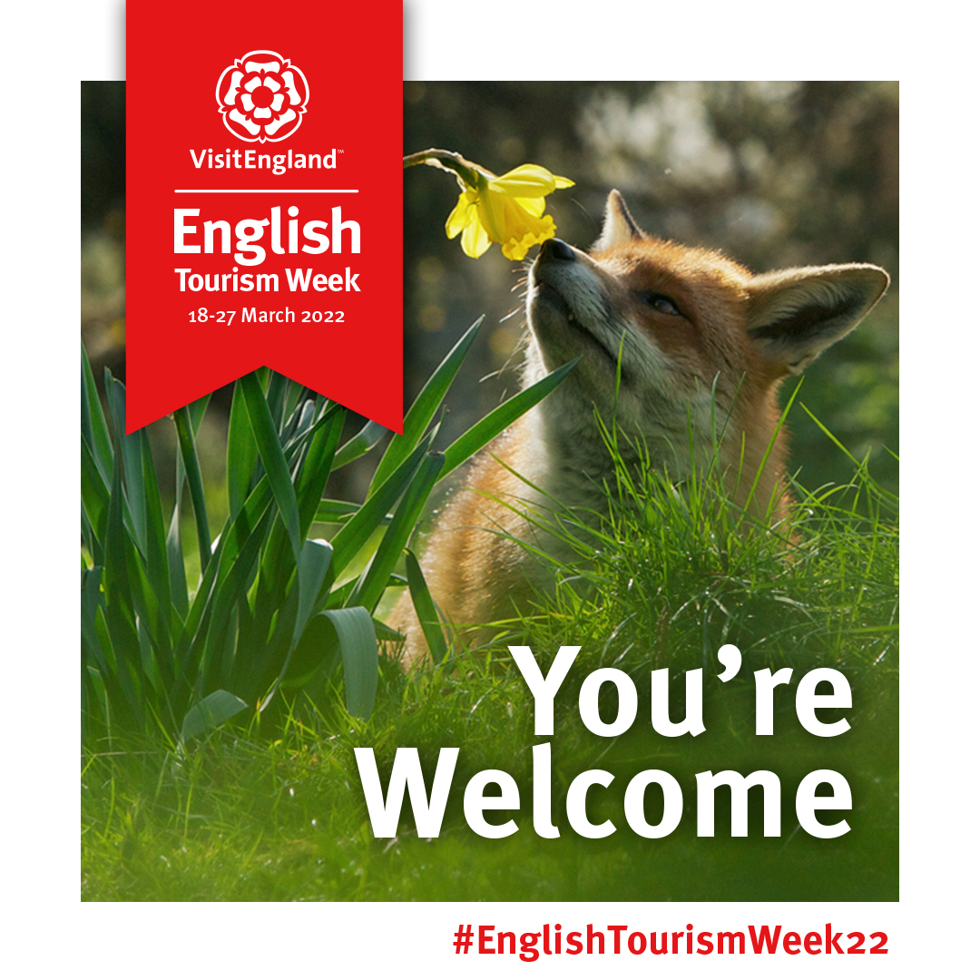 British Wildlife Centre tweet media