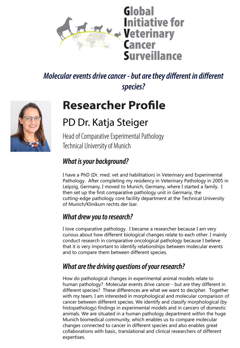 GIVCS_Research's tweet photo. This week's researcher profile is on PD Dr. Katja Steiger.
#givcs #animalcancer https://t.co/Eq9J1nE1Wd