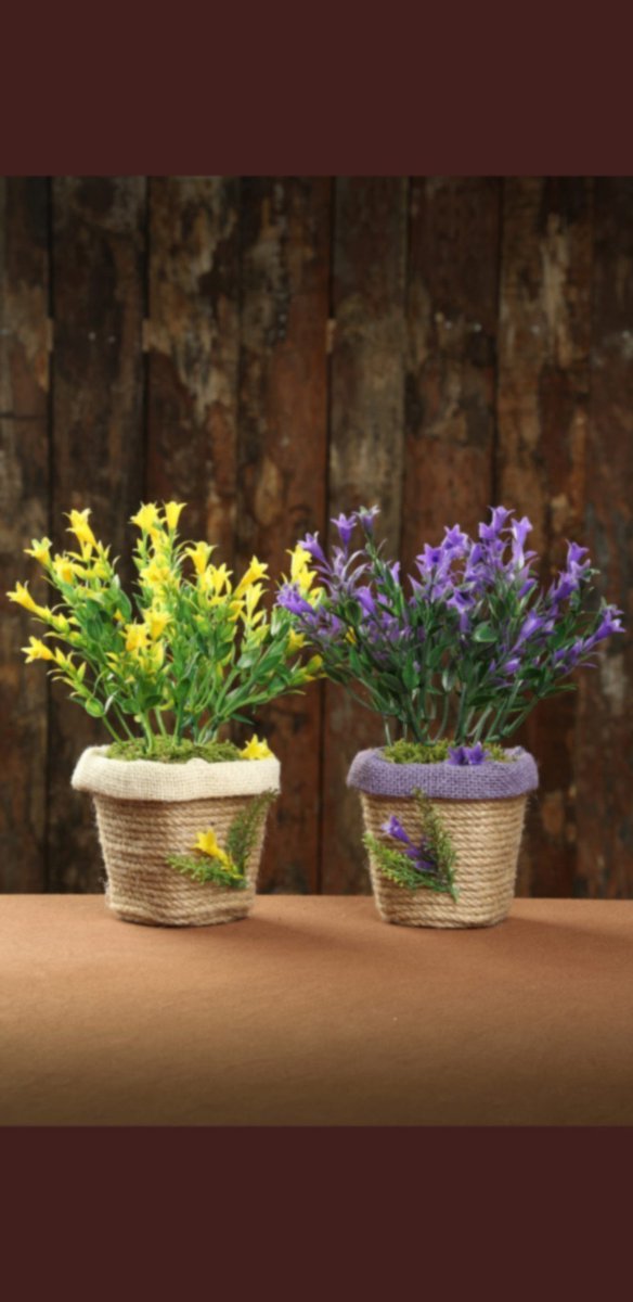 Yapay dekoratif saksılı ağaç ve çiçek 
Instagram: instagram.com/saffticaret?ut…
#GAMpul #SonSayfa #osmaniyeokuyor #15YılOEnce #SonNefesimeKadar #ProtestoEdiyorum #geldiklerigibigidecekler #MasumlarApartmanı #MaddiDurumum #GSBARCA #LiverpoolFC #instagram #Facebook #Shakira