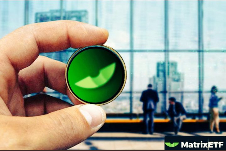 scripted_whiz's tweet image. Looking for a secure investment?
@MatrixETF is exactly what you need at the moment🚀 
Invest in MatrixETF , Buy and Hold $MDF and thank me later
#matrixETF  #Solana #eth