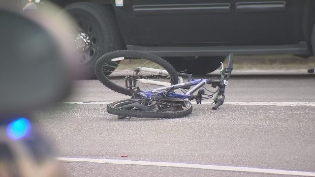 bicyclist hit by car florida